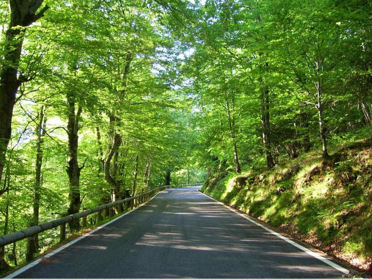Casa Rural Caborzal Renedo De Cabuerniga Екстер'єр фото